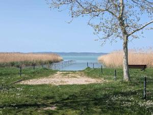 Holiday home in Zamardi - Balaton 53551