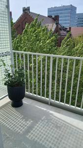 Cityview Room Apartment Plac Wolności 6 in the Center of Poznań Old Town