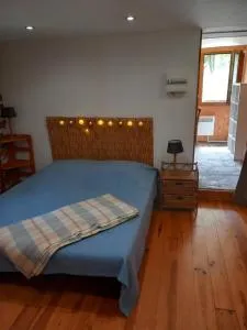 les cèdres bleus de Joany - Cuzac