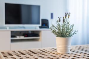 GuestReady - Crayon Walls Apartments