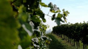 hideauts hotels Villa R