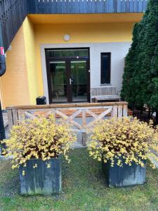 Apartment with Terrace room in Apartments Kokl