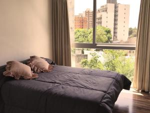 Departamento moderno con terraza en el centro de La Plata