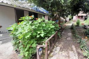 Bamboo Hut Resort and Restaurant