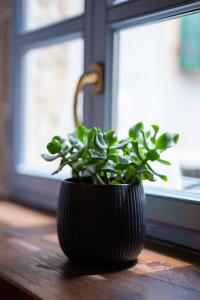 Loft by Villa di Piazza - a home you won’t forget