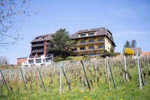 Hotels Hotel Arnold : photos des chambres