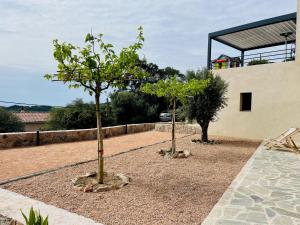 Maisons de vacances Maison Altea - Maison climatisee : photos des chambres