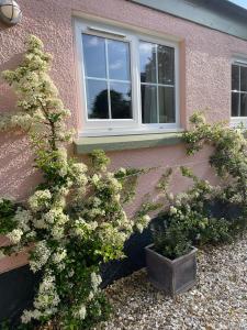 Garden cottage near River Exe