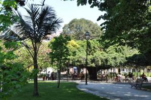 Água-da-Flor apartments