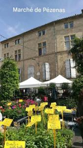 Maisons de vacances Pierres anciennes et soirees douces Coeur de ville : photos des chambres