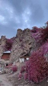 Guiding Globe - غوريس