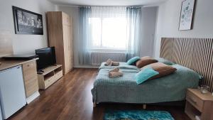 Apartmány Chalúpkova ulica Prešov - Solivar