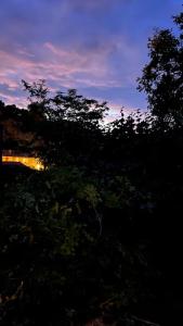 La cabane des amoureux du jardin
