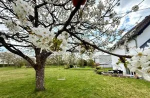 Landhaus Laux - Immerath