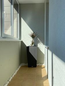 JM Apartment