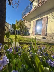 Casa Orlandina - Montonari