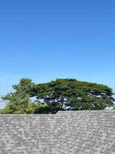 Arkas Oon Pool Villa Khaoyai