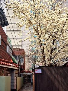 Private House Good Stay Samdeok