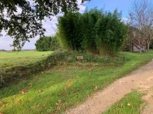 Roulotte et Nature - Pécharic-et-le-Py