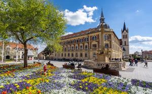 Gold & Green Apartment