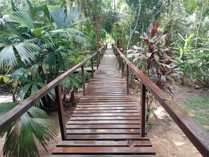 Lodge Parayso -Tambopata