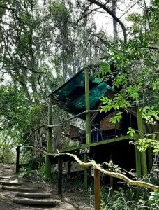 Sacred Forest Eco Tents - Phantom Acres