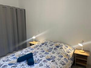 Appartements Lourdes : Superbe T2 42m2 : photos des chambres