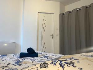 Appartements Lourdes : Superbe T2 42m2 : photos des chambres