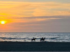 Maisons de vacances La Dolce Trouvillaise : photos des chambres