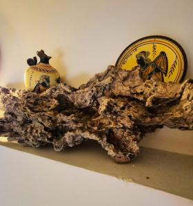 Alexander Dion House