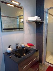 Appartements Les Suites Angevines : photos des chambres