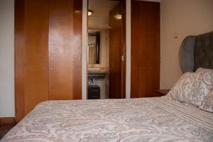 Departamento 1 Dormitorio Providencia