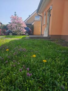 Cozy house and free parking