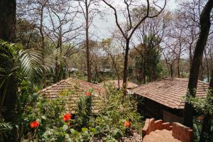 Mojigao - Eco Resort