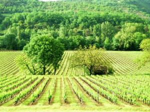 Maisons de vacances Cottage in Vezac near Forest and Lake : photos des chambres