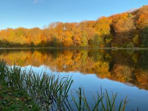 Ferienhaus am See -Teichanlage Kern