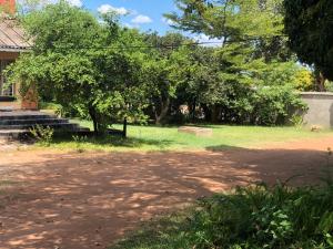 Wander Inn apartments