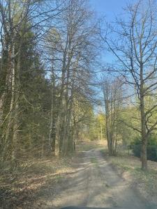 Buczki 12 SPA Mazury Pool