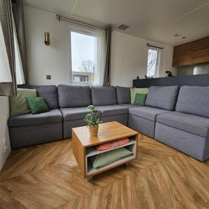 Chalet Zomerdroom Gasselte