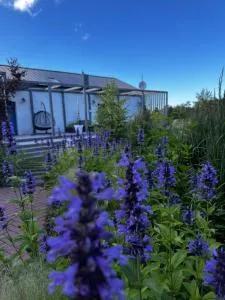 Botanica - Szary Dwor