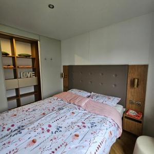 Chalet Zomerdroom Gasselte