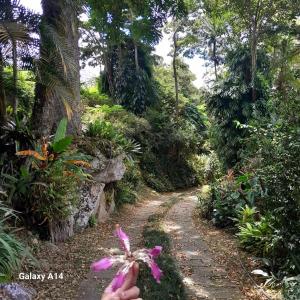 Casa Jardim Cachoeira Privativa no Cascatinha