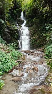 Sisney River Retreat