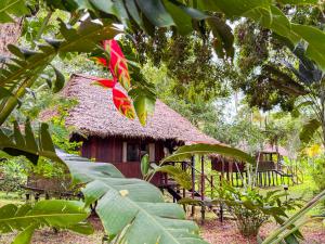 Corto Maltes Amazonia Lodge