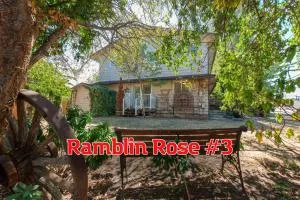 SQ Ramblin Rose 3 - Carlsborg
