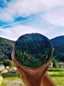 Mountain Home - Families Holidays