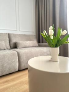 Willa Ada Pokoje & Apartamenty