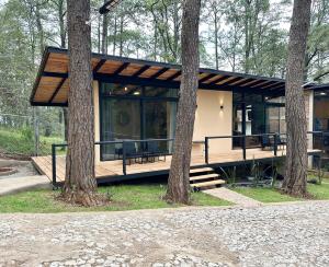 Cabañas del Bosque 1