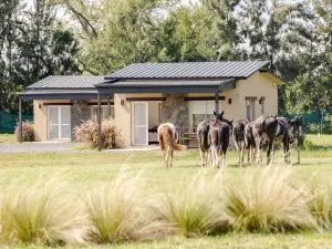La Joaquina - San Agustín