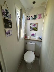 Chalets Chalet de jardin, piscine : photos des chambres